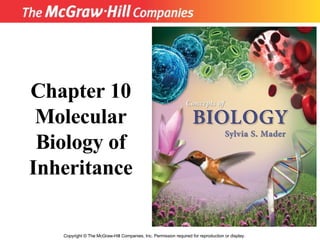 Copyright  ©  The McGraw-Hill Companies, Inc. Permission required for reproduction or display. Chapter 10 Molecular Biology of Inheritance 