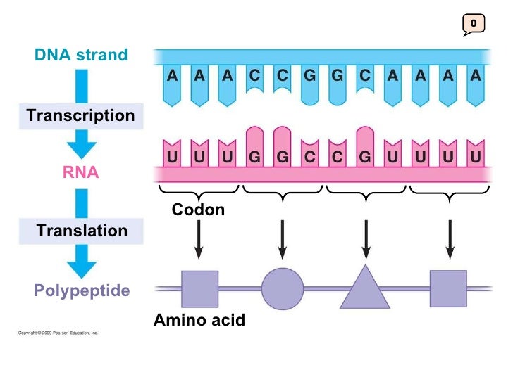 10 Lecture Presentation