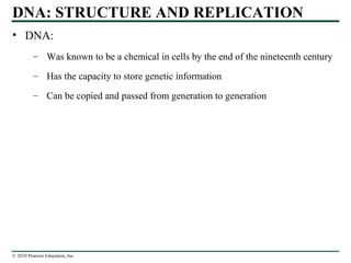 © 2010 Pearson Education, Inc.
DNA: STRUCTURE AND REPLICATION
• DNA:
– Was known to be a chemical in cells by the end of the nineteenth century
– Has the capacity to store genetic information
– Can be copied and passed from generation to generation
 