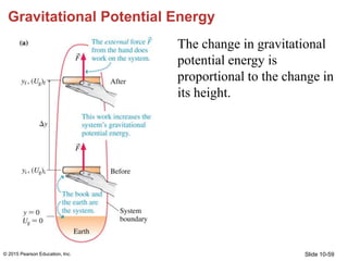 Slide 10-59
Gravitational Potential Energy
The change in gravitational
potential energy is
proportional to the change in
i...