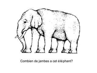 Combien de jambes a cet éléphant? 