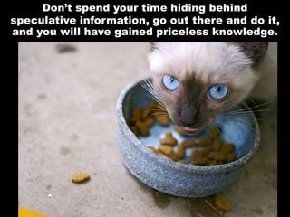 Don’t spend your time hiding behind
speculative information, go out there and do it,
and you will have gained priceless knowledge.
 