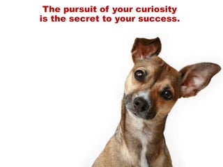 The pursuit of your curiosity
is the secret to your success.
 