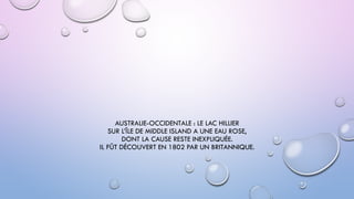 AUSTRALIE-OCCIDENTALE : LE LAC HILLIER
SUR L’ÎLE DE MIDDLE ISLAND A UNE EAU ROSE,
DONT LA CAUSE RESTE INEXPLIQUÉE.
IL FÛT DÉCOUVERT EN 1802 PAR UN BRITANNIQUE.
 