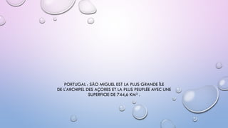 PORTUGAL : SÃO MIGUEL EST LA PLUS GRANDE ÎLE
DE L'ARCHIPEL DES AÇORES ET LA PLUS PEUPLÉE AVEC UNE
SUPERFICIE DE 744,6 KM² .
 