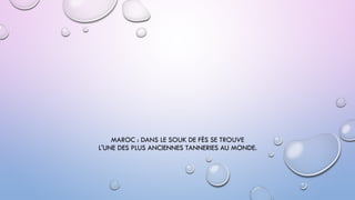 MAROC : DANS LE SOUK DE FÈS SE TROUVE
L'UNE DES PLUS ANCIENNES TANNERIES AU MONDE.
 