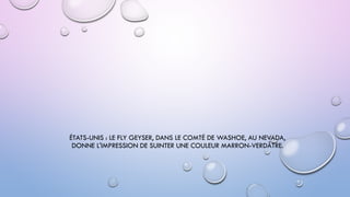 ÉTATS-UNIS : LE FLY GEYSER, DANS LE COMTÉ DE WASHOE, AU NEVADA,
DONNE L'IMPRESSION DE SUINTER UNE COULEUR MARRON-VERDÂTRE.
 