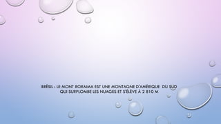 BRÉSIL : LE MONT RORAIMA EST UNE MONTAGNE D'AMÉRIQUE DU SUD
QUI SURPLOMBE LES NUAGES ET S'ÉLÈVE À 2 810 M
 