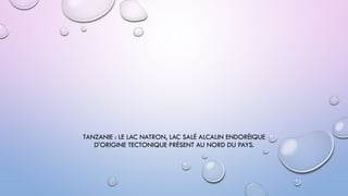 TANZANIE : LE LAC NATRON, LAC SALÉ ALCALIN ENDORÉIQUE
D'ORIGINE TECTONIQUE PRÉSENT AU NORD DU PAYS.
 