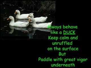 Always behave
like a DUCK
Keep calm and
unruffled
on the surface
But
Paddle with great vigor
underneath
 