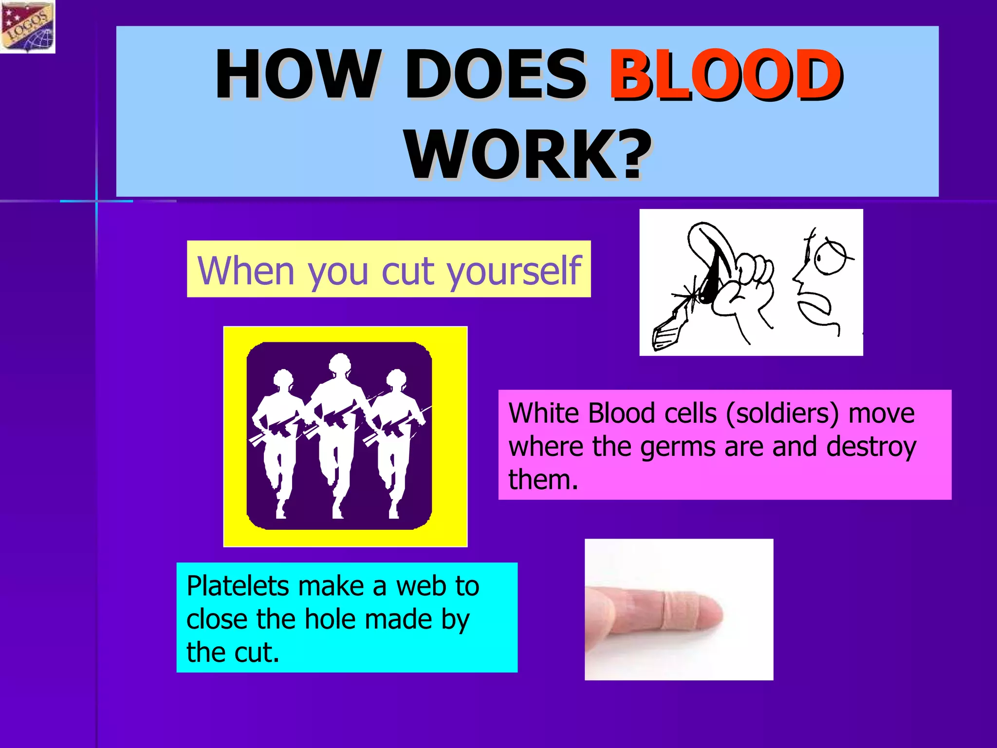blood-and-circulatory-system-ppt