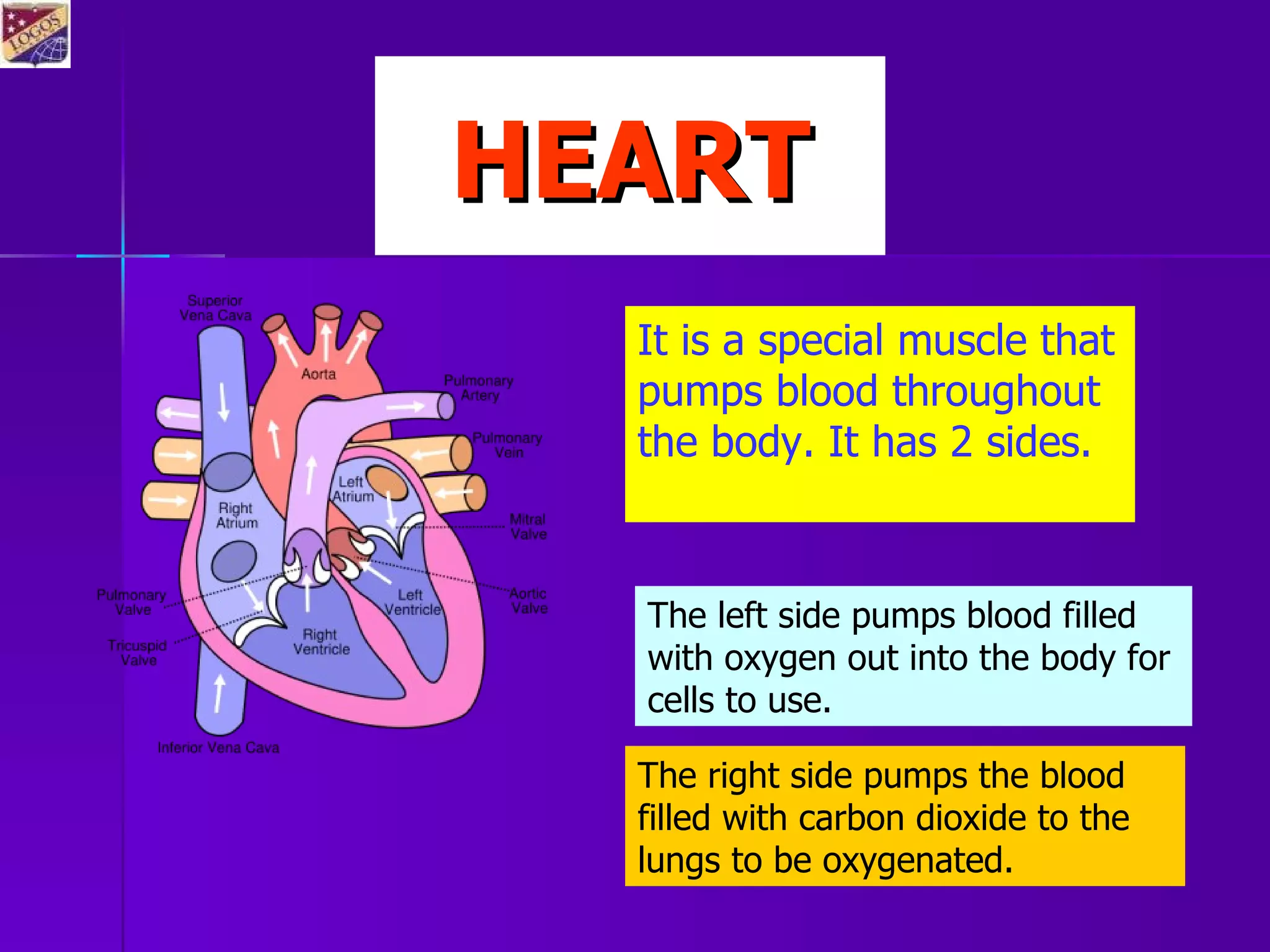 blood-and-circulatory-system-ppt