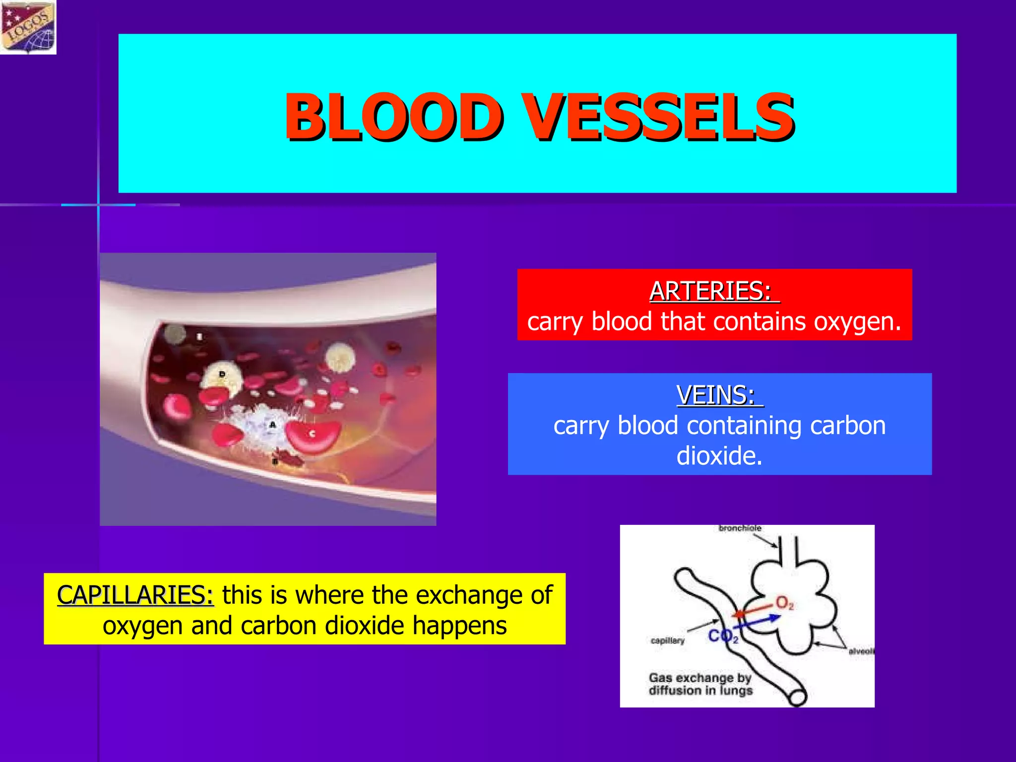 blood-and-circulatory-system-ppt
