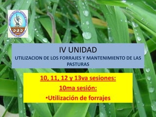 IV UNIDAD
UTILIZACION DE LOS FORRAJES Y MANTENIMIENTO DE LAS
                     PASTURAS

          10, 11, 12 y 13va sesiones:
                 10ma sesión:
            •Utilización de forrajes
 
