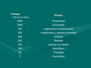 Homínidos 3 Primates 65 Mamíferos 100 plantas con flores 140 Reptiles 350 Anfibios 400 vertebrados y plantas terrestres 450 organismos multicelulares 700 Eucariotas 1000 Procariotas 3500 Evento Tiempo   (millones de años) 