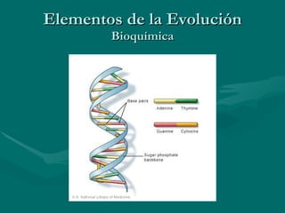 Elementos de la Evolución Bioquímica 