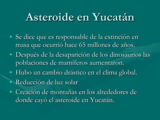 Asteroide en Yucatán Se dice que es responsable de la extinción en masa que ocurrió hace 65 millones de años. Después de la desaparición de los dinosaurios las poblaciones de mamíferos aumentaron. Hubo un cambio drástico en el clima global. Reducción de luz solar Creación de montañas en los alrededores de donde cayó el asteroide en Yucatán. 