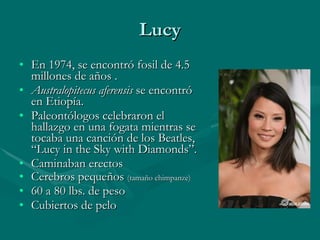 Lucy En 1974, se encontró fosil de 4.5 millones de años . Australopitecus aferensis  se encontró en Etiopía. Paleontólogos celebraron el hallazgo en una fogata mientras se tocaba una canción de los Beatles, “Lucy in the Sky with Diamonds”. Caminaban erectos Cerebros pequeños  (tamaño chimpanze) 60 a 80 lbs. de peso Cubiertos de pelo 
