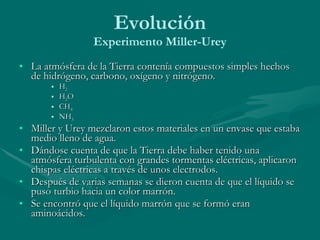 Evolución Experimento Miller-Urey La atmósfera de la Tierra contenía compuestos simples hechos de hidrógeno, carbono, oxígeno y nitrógeno. H 2   H 2 O CH 4 NH 3 Miller y Urey mezclaron estos materiales en un envase que estaba medio lleno de agua. Dándose cuenta de que la Tierra debe haber tenido una atmósfera turbulenta con grandes tormentas eléctricas, aplicaron chispas eléctricas a través de unos electrodos. Después de varias semanas se dieron cuenta de que el líquido se puso turbio hacia un color marrón. Se encontró que el líquido marrón que se formó eran aminoácidos. 