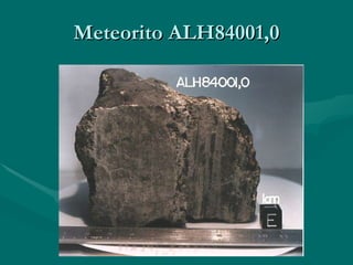 Meteorito ALH84001,0 