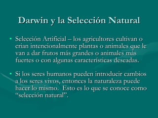 Darwin y la Selección Natural Selección Artificial – los agricultores cultivan o crian intencionalmente plantas o animales que le van a dar frutos más grandes o animales más fuertes o con algunas características deseadas. Si los seres humanos pueden introducir cambios a los seres vivos, entonces la naturaleza puede hacer lo mismo.  Esto es lo que se conoce como “selección natural”. 