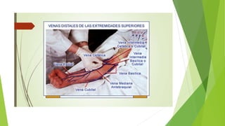 Comprehensive Guide to Medication Administration Routes and Procedures ...