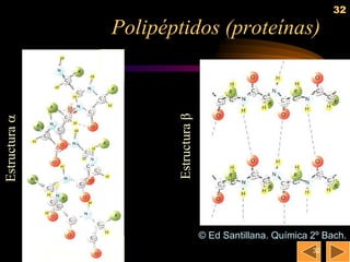 32

               Polipéptidos (proteínas)




                      Estructura β
Estructura 




                                     © Ed Santillana. Química 2º Bach.
                                                              32
 