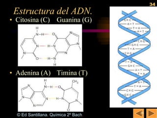 34
 Estructura del ADN.
• Citosina (C) Guanina (G)




• Adenina (A) Timina (T)




                                      34
  © Ed Santillana. Química 2º Bach.
 
