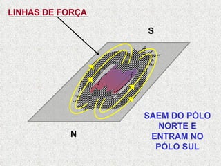 SAEM DO PÓLO NORTE E ENTRAM NO PÓLO SUL N S LINHAS DE FORÇA 