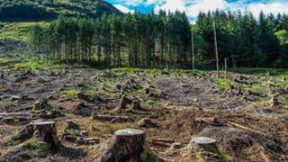 10 Major Environmental Problems | PPTX