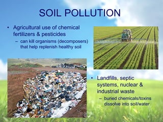 • Agricultural use of chemical
fertilizers & pesticides
– can kill organisms (decomposers)
that help replenish healthy soil
SOIL POLLUTION
• Landfills, septic
systems, nuclear &
industrial waste
– buried chemicals/toxins
dissolve into soil/water
 
