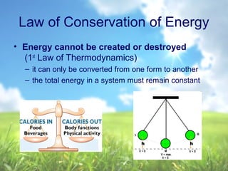 Law of Conservation of Energy
• Energy cannot be created or destroyed
(1st
Law of Thermodynamics)
– it can only be converted from one form to another
– the total energy in a system must remain constant
 