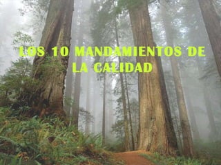 LOS 10 MANDAMIENTOS DE LA CALIDAD 