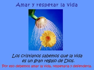 Los cristianos sabemos que la vida es un gran regalo de Dios.  Por eso debemos amar la vida, respetarla y defenderla. Amar y respetar la vida 