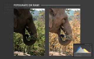 TENHA CUIDADO
PARA PRODUZIR
OU ESCOLHER
SUAS FOTOS
QUALIDADE PRODUÇÃO
TENHA CUIDADO
PARA PRODUZIR
OU ESCOLHER
SUAS FOTOS
QUALIDADE PRODUÇÃO
FOTOGRAFE EM RAW!
 