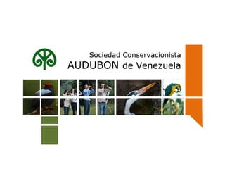 Sociedad Conservacionista  AUDUBON  de Venezuela 
