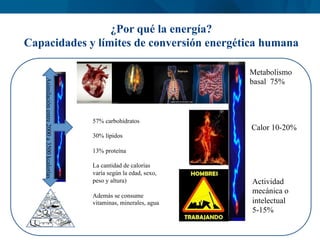 ¿Por qué la energía?
Capacidades y límites de conversión energética humana
Metabolismo
basal 75%
Calor 10-20%
Actividad
me...