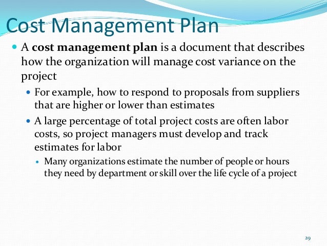 cost management plan template