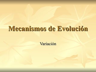Mecanismos de Evolución Variación 