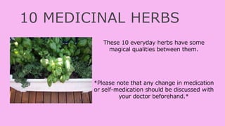 10 MEDICINAL HERBS
These 10 everyday herbs have some
magical qualities between them.
*Please note that any change in medication
or self-medication should be discussed with
your doctor beforehand.*
 