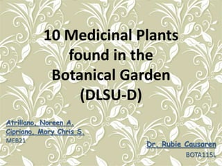 10 Medicinal Plants
found in the
Botanical Garden
(DLSU-D)
Atrillano, Noreen A.
Cipriano, Mary Chris S.
MEB21
Dr. Rubie Causaren
BOTA115L
 