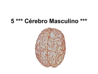 5 *** Cérebro Masculino ***
 
