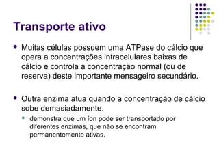 Transporte ativo
 Muitas células possuem uma ATPase do cálcio que
opera a concentrações intracelulares baixas de
cálcio e controla a concentração normal (ou de
reserva) deste importante mensageiro secundário.
 Outra enzima atua quando a concentração de cálcio
sobe demasiadamente.
 demonstra que um íon pode ser transportado por
diferentes enzimas, que não se encontram
permanentemente ativas.
 