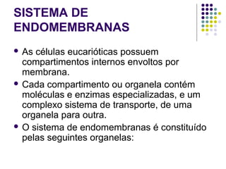SISTEMA DE
ENDOMEMBRANAS
 As células eucarióticas possuem
compartimentos internos envoltos por
membrana.
 Cada compartimento ou organela contém
moléculas e enzimas especializadas, e um
complexo sistema de transporte, de uma
organela para outra.
 O sistema de endomembranas é constituído
pelas seguintes organelas:
 