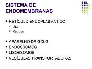 SISTEMA DE
ENDOMEMBRANAS
 RETÍCULO ENDOPLASMÁTICO
 Liso
 Rugoso
 APARELHO DE GOLGI
 ENDOSSOMOS
 LISOSSOMOS
 VESÍCULAS TRANSPORTADORAS
 