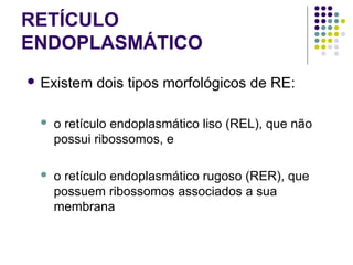 RETÍCULO
ENDOPLASMÁTICO
 Existem dois tipos morfológicos de RE:
 o retículo endoplasmático liso (REL), que não
possui ribossomos, e
 o retículo endoplasmático rugoso (RER), que
possuem ribossomos associados a sua
membrana
 