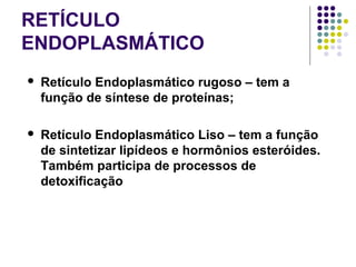 RETÍCULO
ENDOPLASMÁTICO
 Retículo Endoplasmático rugoso – tem a
função de síntese de proteínas;
 Retículo Endoplasmático Liso – tem a função
de sintetizar lipídeos e hormônios esteróides.
Também participa de processos de
detoxificação
 