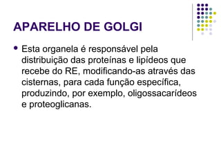 APARELHO DE GOLGI
 Esta organela é responsável pela
distribuição das proteínas e lipídeos que
recebe do RE, modificando-as através das
cisternas, para cada função específica,
produzindo, por exemplo, oligossacarídeos
e proteoglicanas.
 