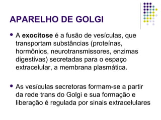 APARELHO DE GOLGI
 A exocitose é a fusão de vesículas, que
transportam substâncias (proteínas,
hormônios, neurotransmissores, enzimas
digestivas) secretadas para o espaço
extracelular, a membrana plasmática.
 As vesículas secretoras formam-se a partir
da rede trans do Golgi e sua formação e
liberação é regulada por sinais extracelulares
 