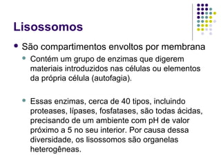 Lisossomos
 São compartimentos envoltos por membrana
 Contém um grupo de enzimas que digerem
materiais introduzidos nas células ou elementos
da própria célula (autofagia).
 Essas enzimas, cerca de 40 tipos, incluindo
proteases, lípases, fosfatases, são todas ácidas,
precisando de um ambiente com pH de valor
próximo a 5 no seu interior. Por causa dessa
diversidade, os lisossomos são organelas
heterogêneas.
 